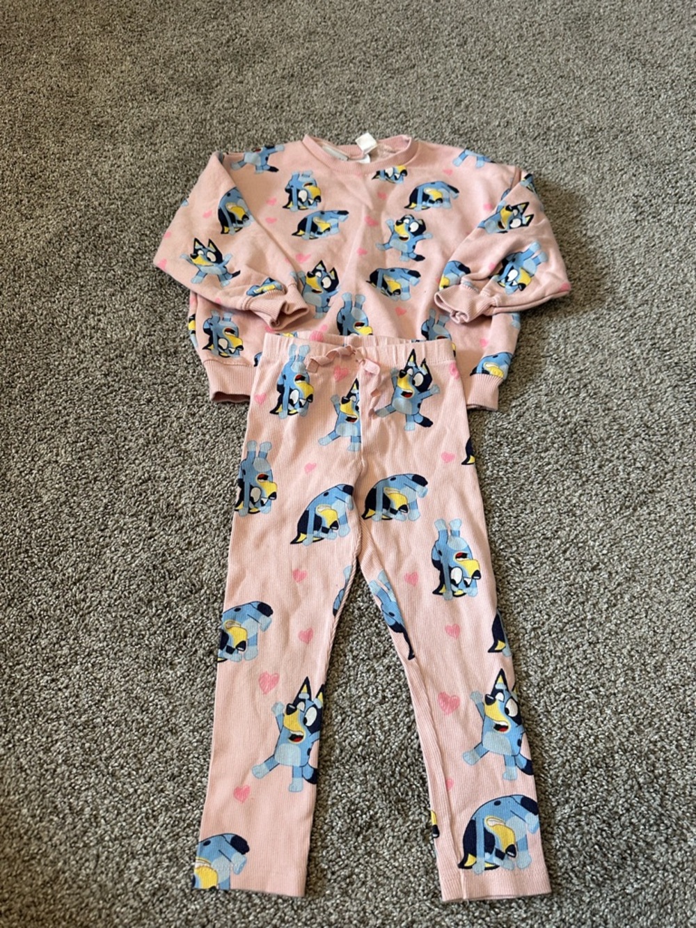 Zara Bluey Set